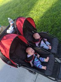 Going For Their First Walk